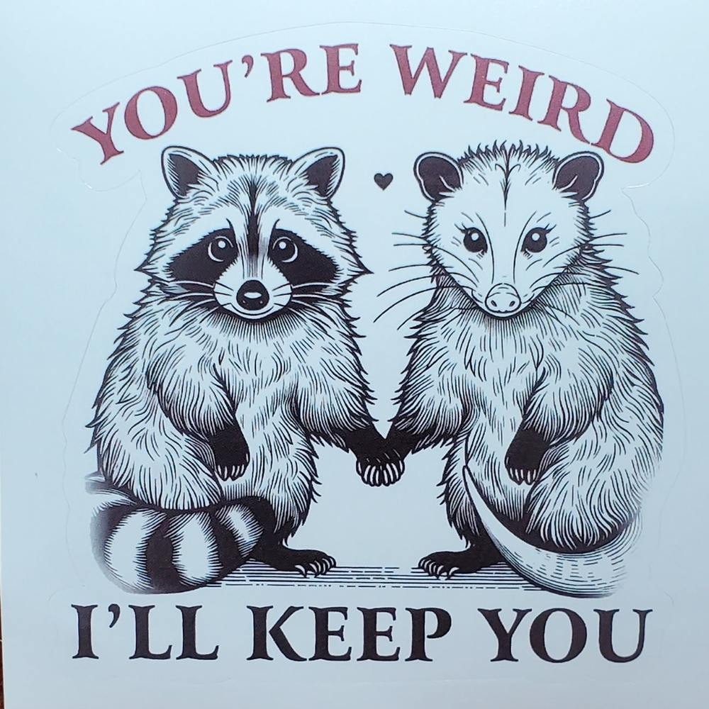 4 For $25 You're Weird I'll Keep You Sticker